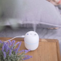 Colorful Egg Humidifier